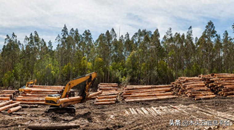 国内市场发出积极信号：对非洲木材需求出现反弹