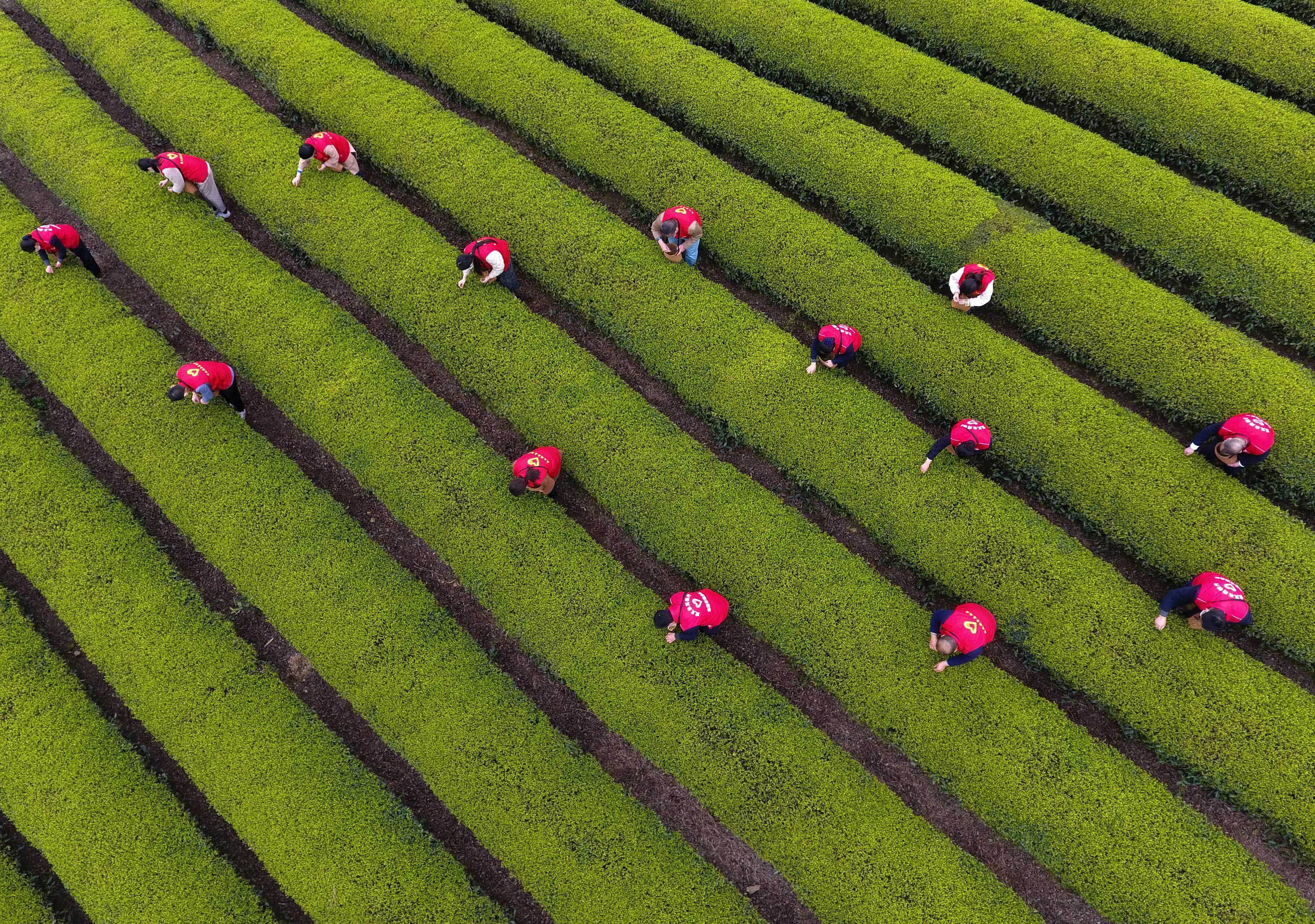 节韵汇丨今日惊蛰 春雷响，万物长