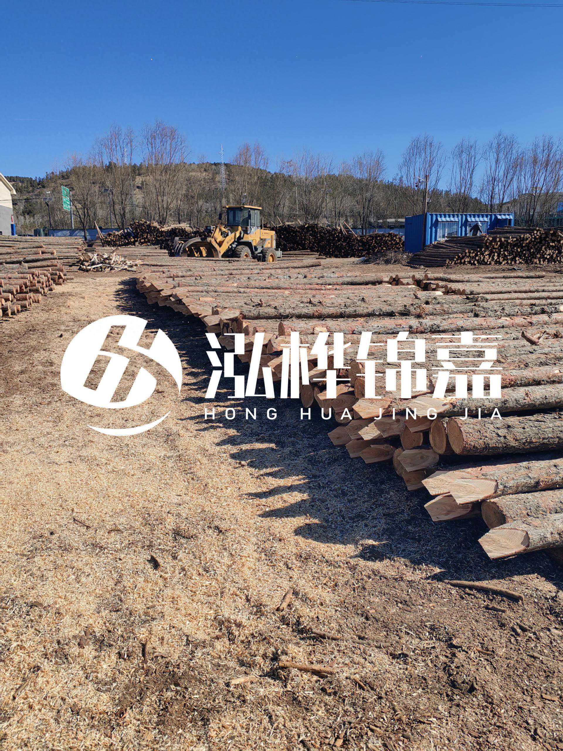 松木桩和杉木桩哪个价格贵？哪个耐水性更好？