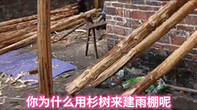 用杉木搭建雨棚用材及价格分享