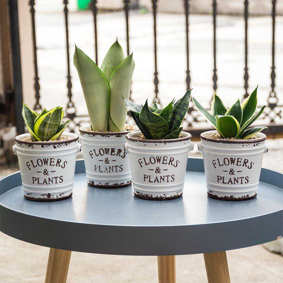 乘势而上开新篇 新港集团独 家协办2024中国板材金匠榜！