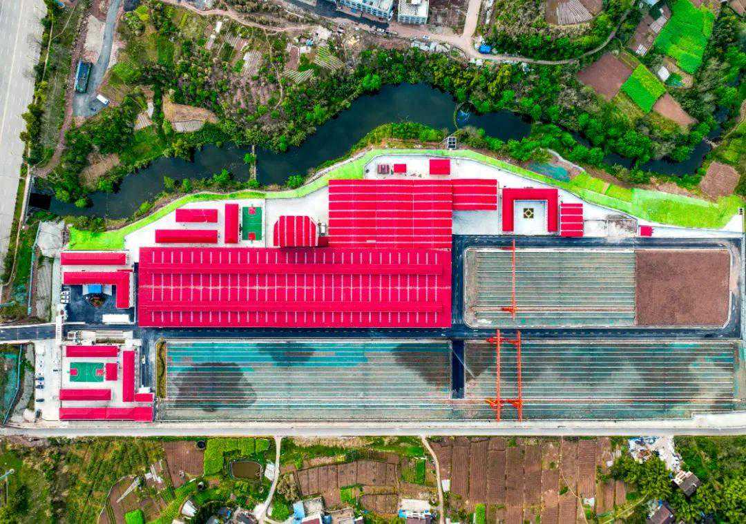 成渝中线项目安岳制板厂顺利通过建设单位验收