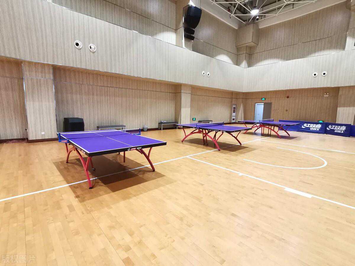 运动木地板生产厂家排名榜