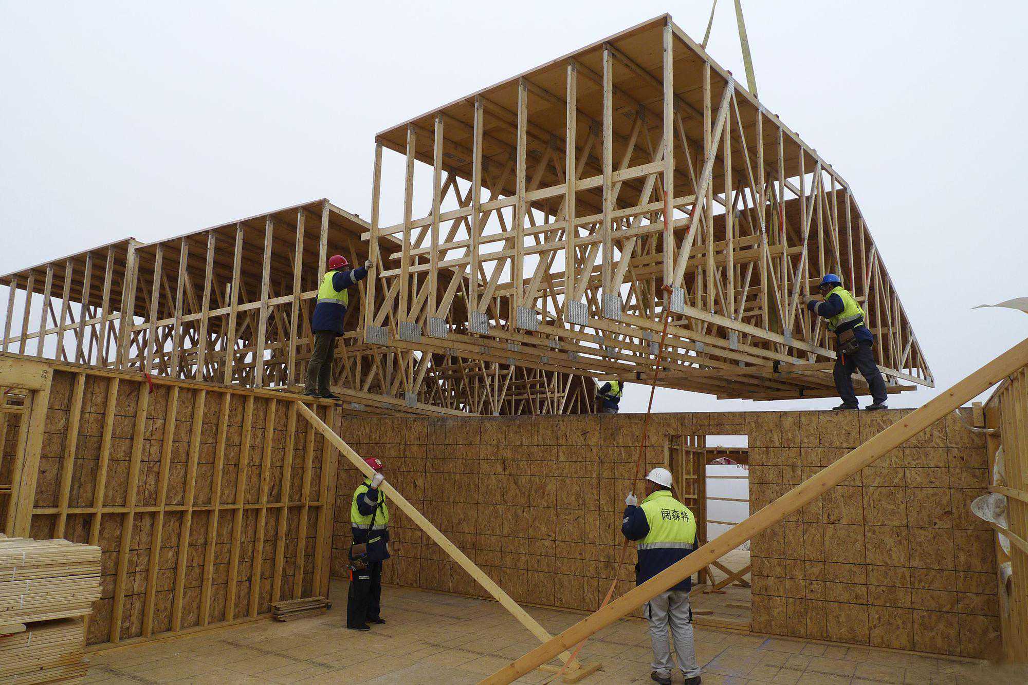 解析轻木与重木的区别