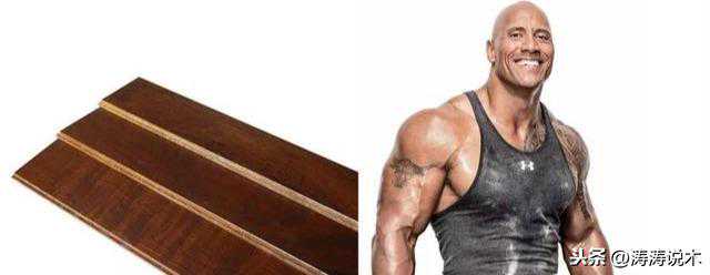 南美材中的超级硬汉--重蚁木