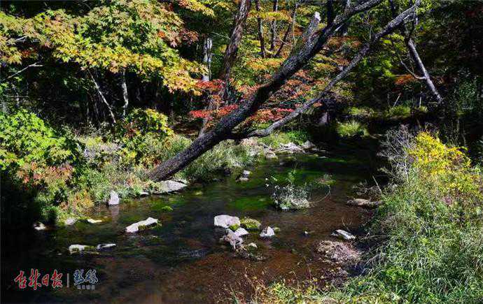 初秋，邂逅露水河
