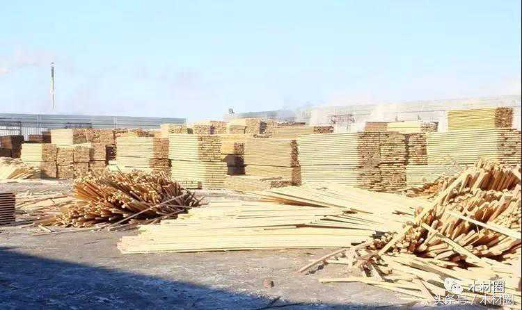 全国木材市场价格行情一览