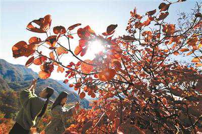 黑色煤炭如何变成绿水青山？