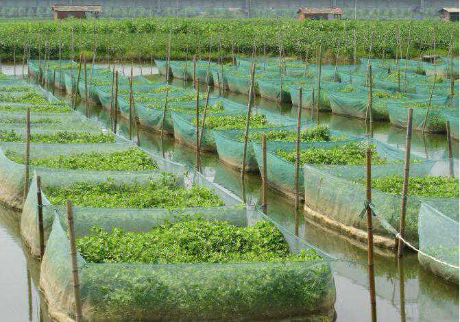 户外家具除了优选柚木外还有什么选择？