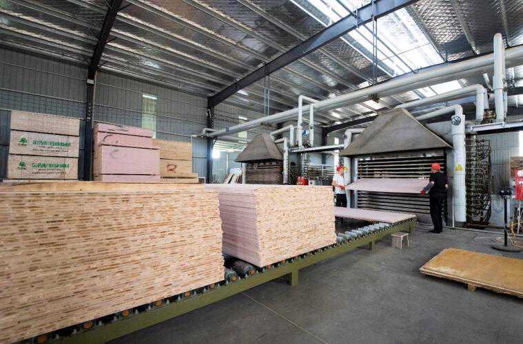 安徽东至：一块免漆生态板的振兴之路