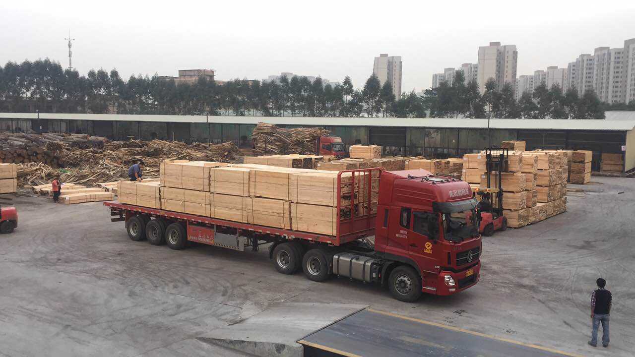 选择中南神箭，建筑木方让您放心，省心