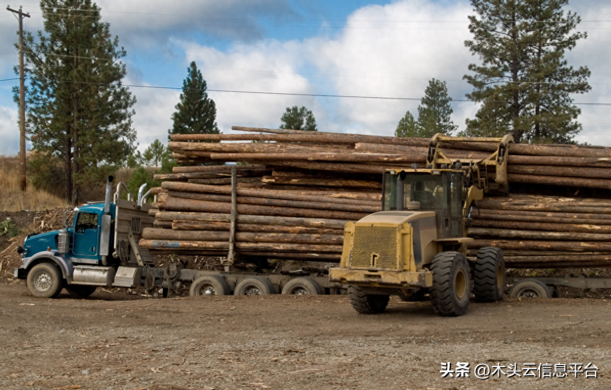 近期部分木材供应及价格情况
