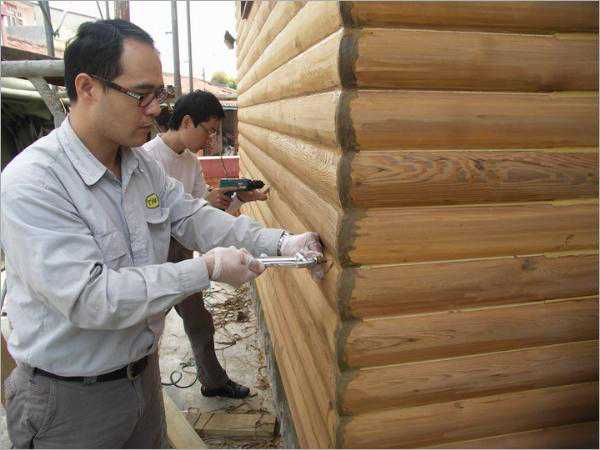 木房屋建筑白蚁的预防与消灭