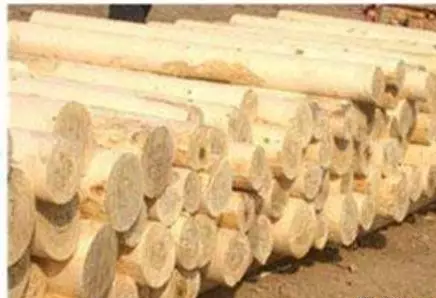「国家贸易」2022年进口木材名录以及注意事项
