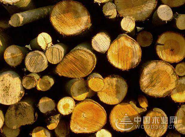 各品类木材高价维稳 供货压力依旧较大