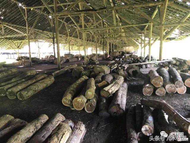 国内四大原木市场：价格行情一览