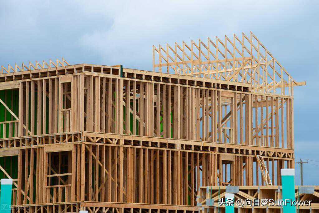 我在西伯利亚大森林深处，找寻中国需要进口的各种木材