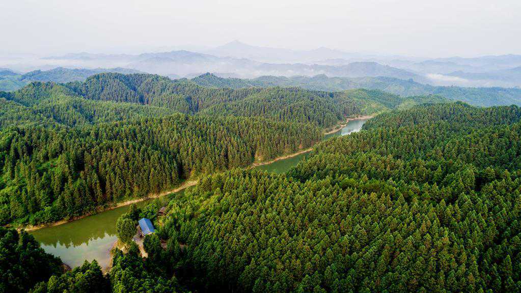 新华全媒+丨湖南会同：林权贷升级让山林从“沉睡”中醒来