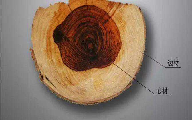 红木入门：29种国标红木学名、俗称、图片及价格简介#生活日记#