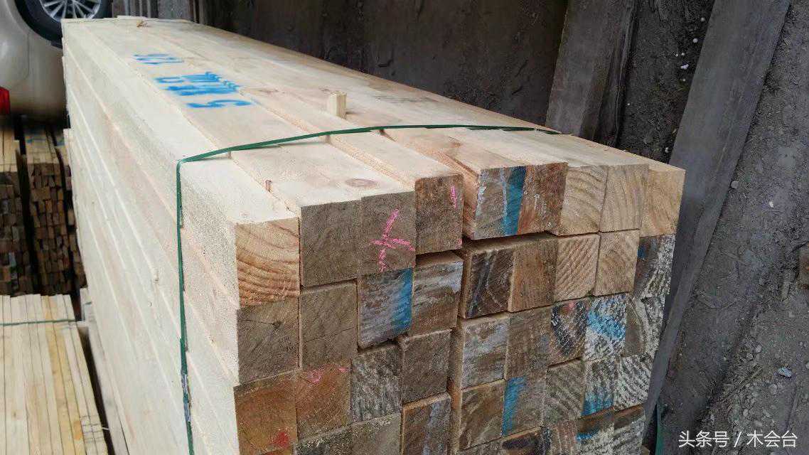 木材学习站-小课（辐射松）