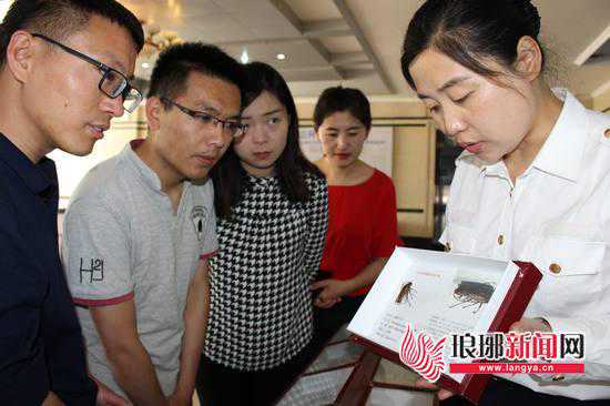 截获的外来生物有多厉害 临沂海关科技周科普来了