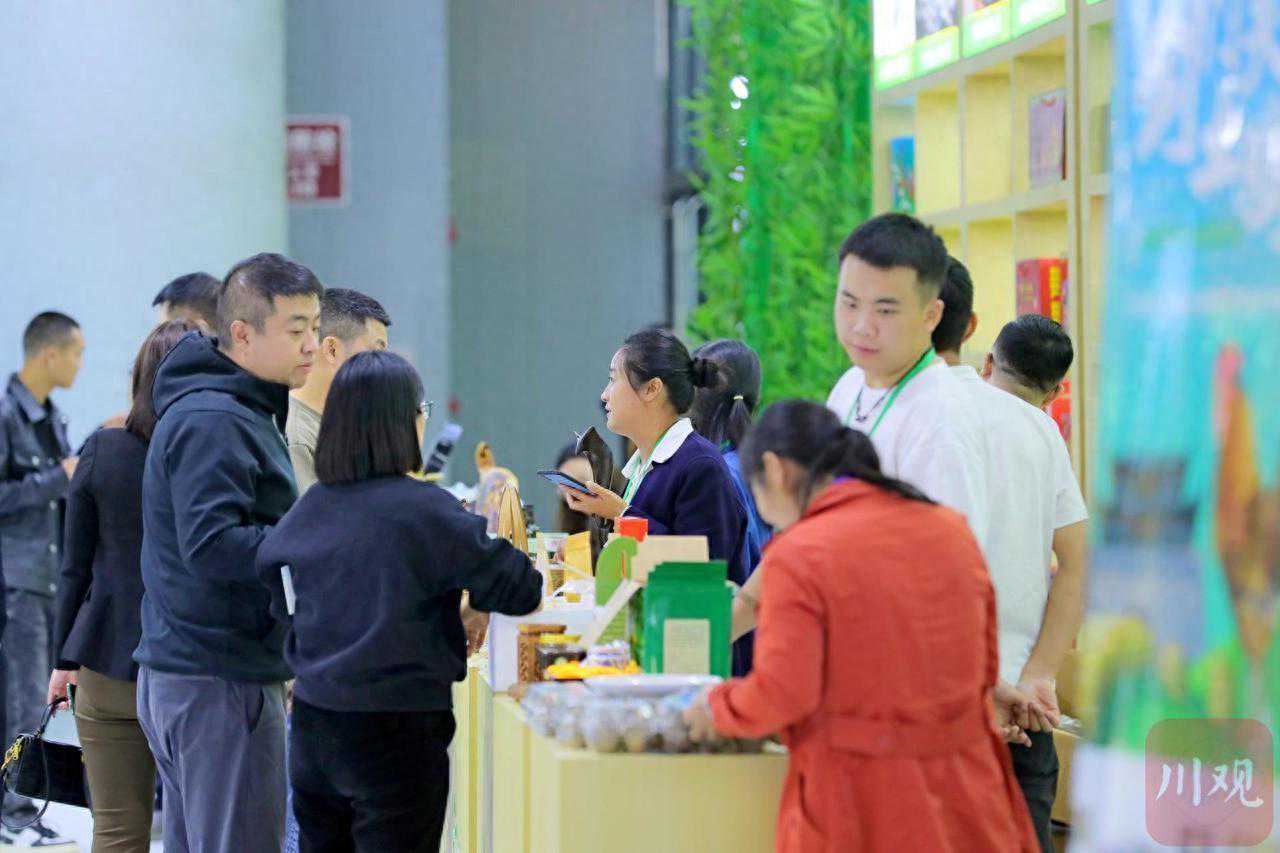 竹材做成“钢板” 意外成为网红“打卡点”