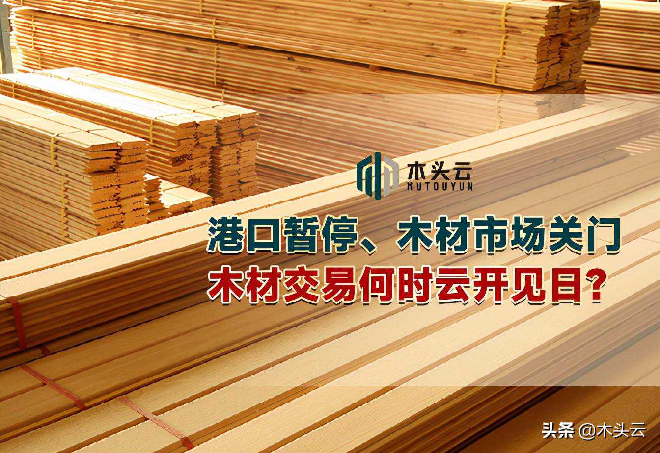 港口暂停、木材市场关门，木材交易何时云开见日？