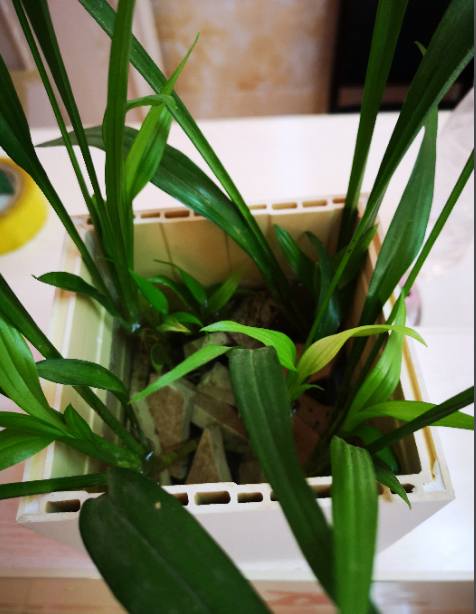 湘木豪廷集成墙板之「雅客」