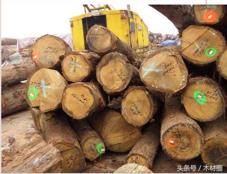 东南亚材的库存基本被清空，南美材成关注热点，软木成交量翻倍