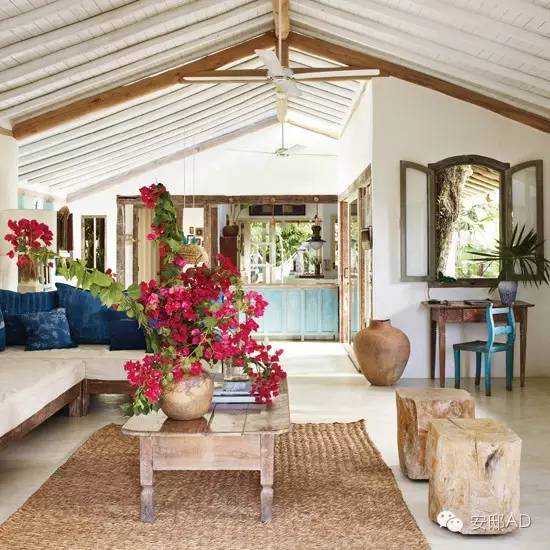 CNN金牌主播，在万里之外巴西渔村安了个家