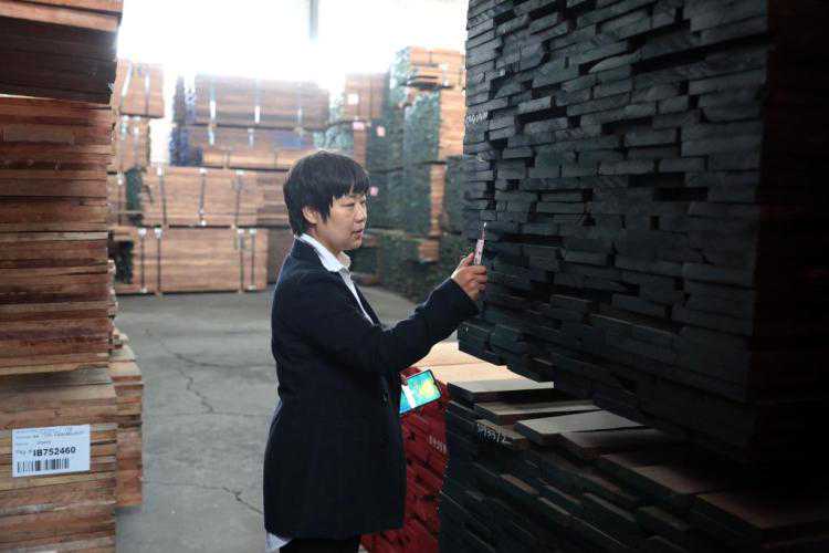 身价噌噌涨，木头也疯狂！木材一立方涨了6000元，岛城有加工厂无奈要转让