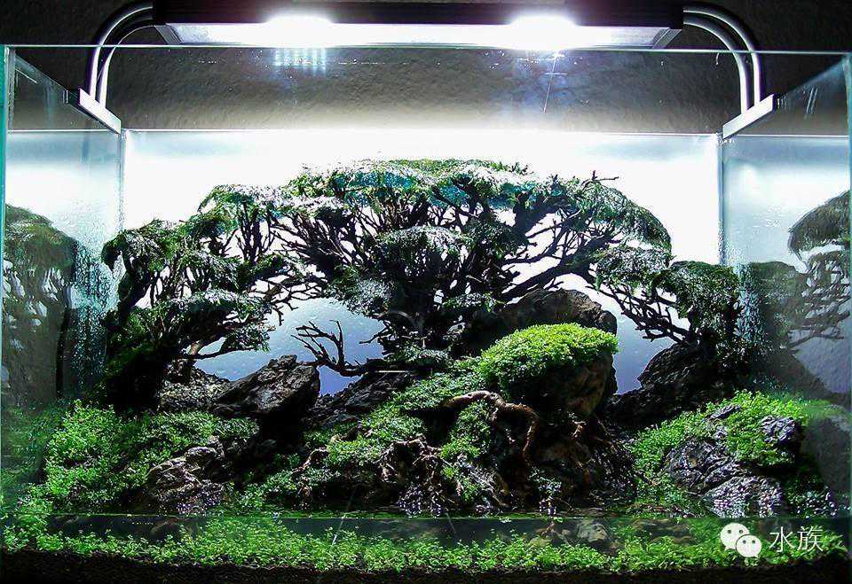 牵手顶尖民宿运营商！心田木墅打造湘西度假旅游民宿标杆