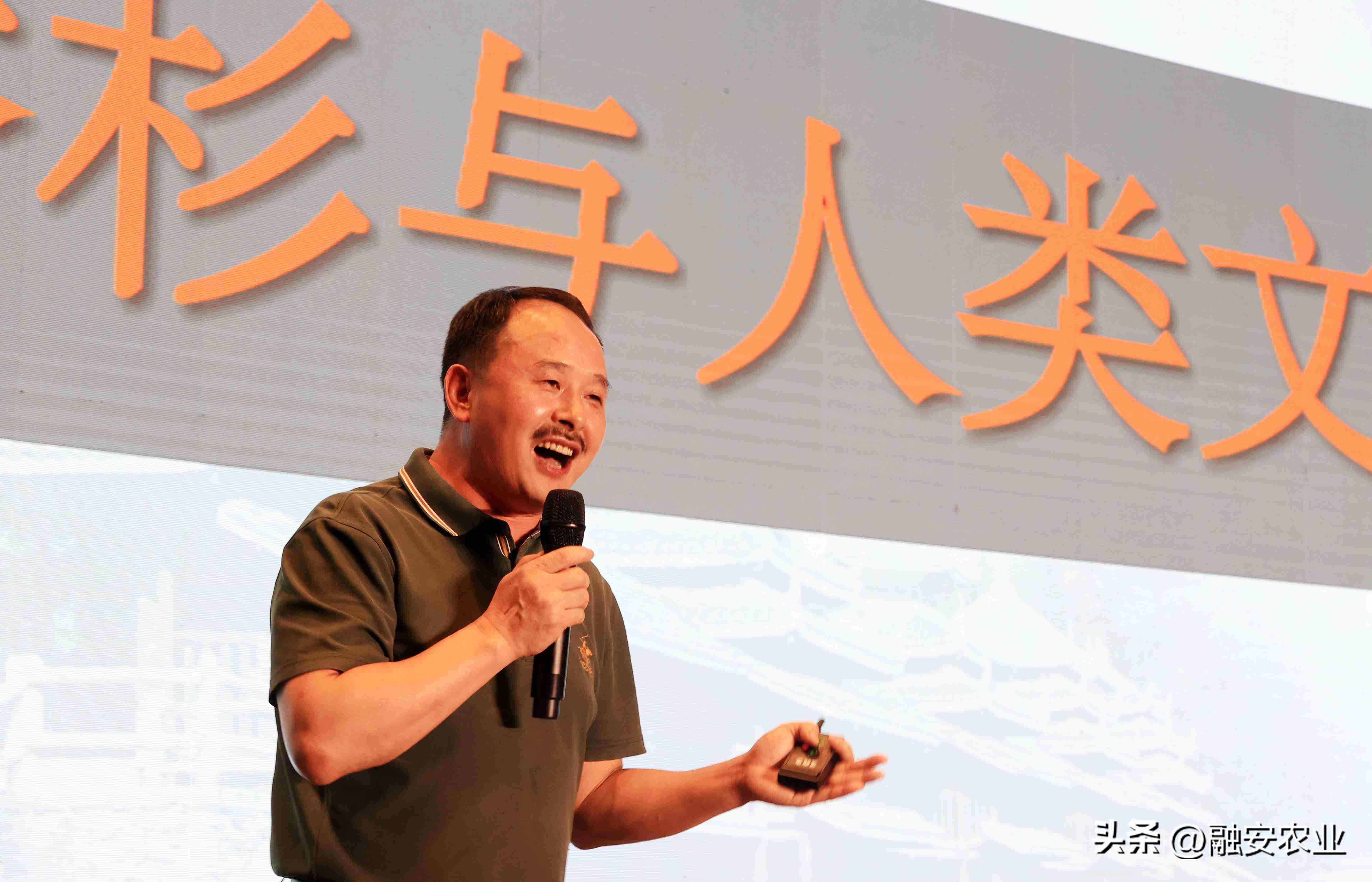 香杉文化香满邕城