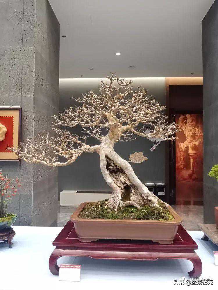 复合地板、强化地板怎么选好？老师傅亲身实验，别再迷信进口的了