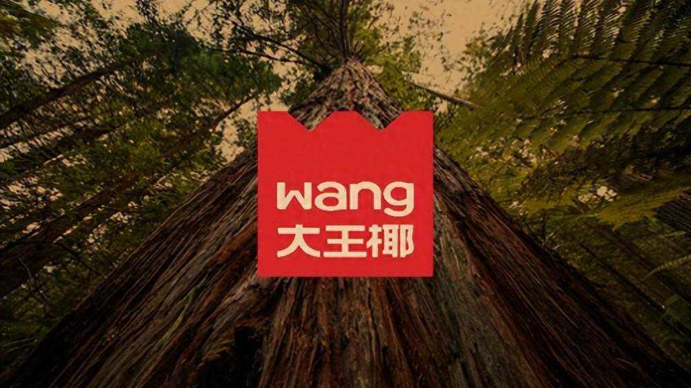 大王椰LOGO焕新，一场成功的破圈传播，板材大王的全新演绎