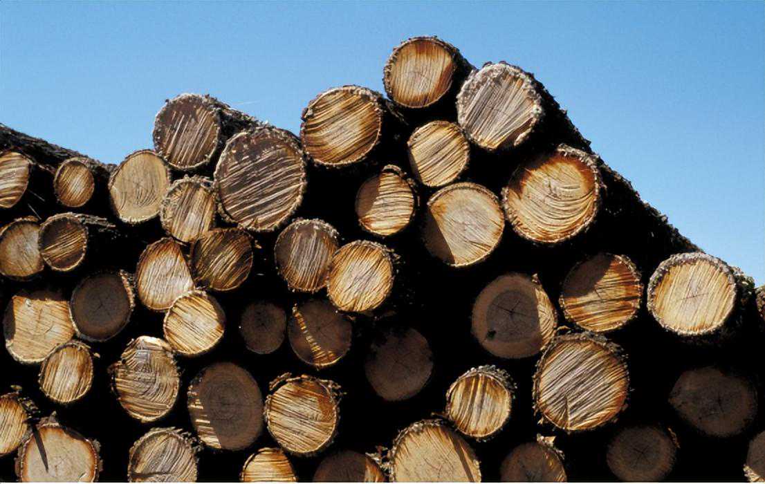 沙巴：木材加工业对经济的影响和发展趋势