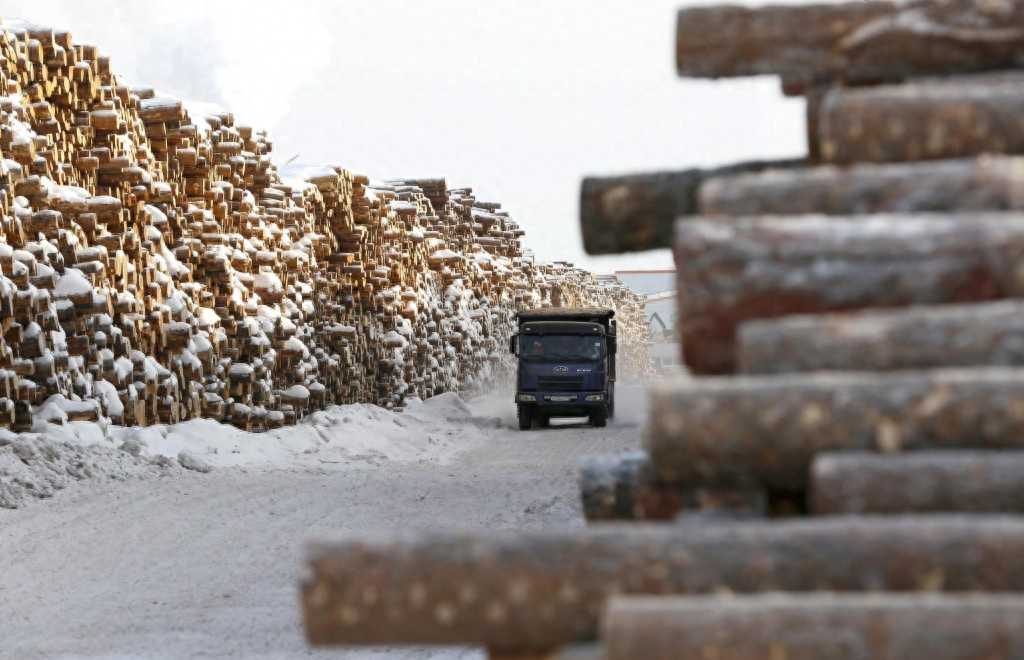 俄罗斯的木材厂