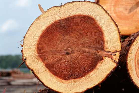 木材干燥的常用方法介绍