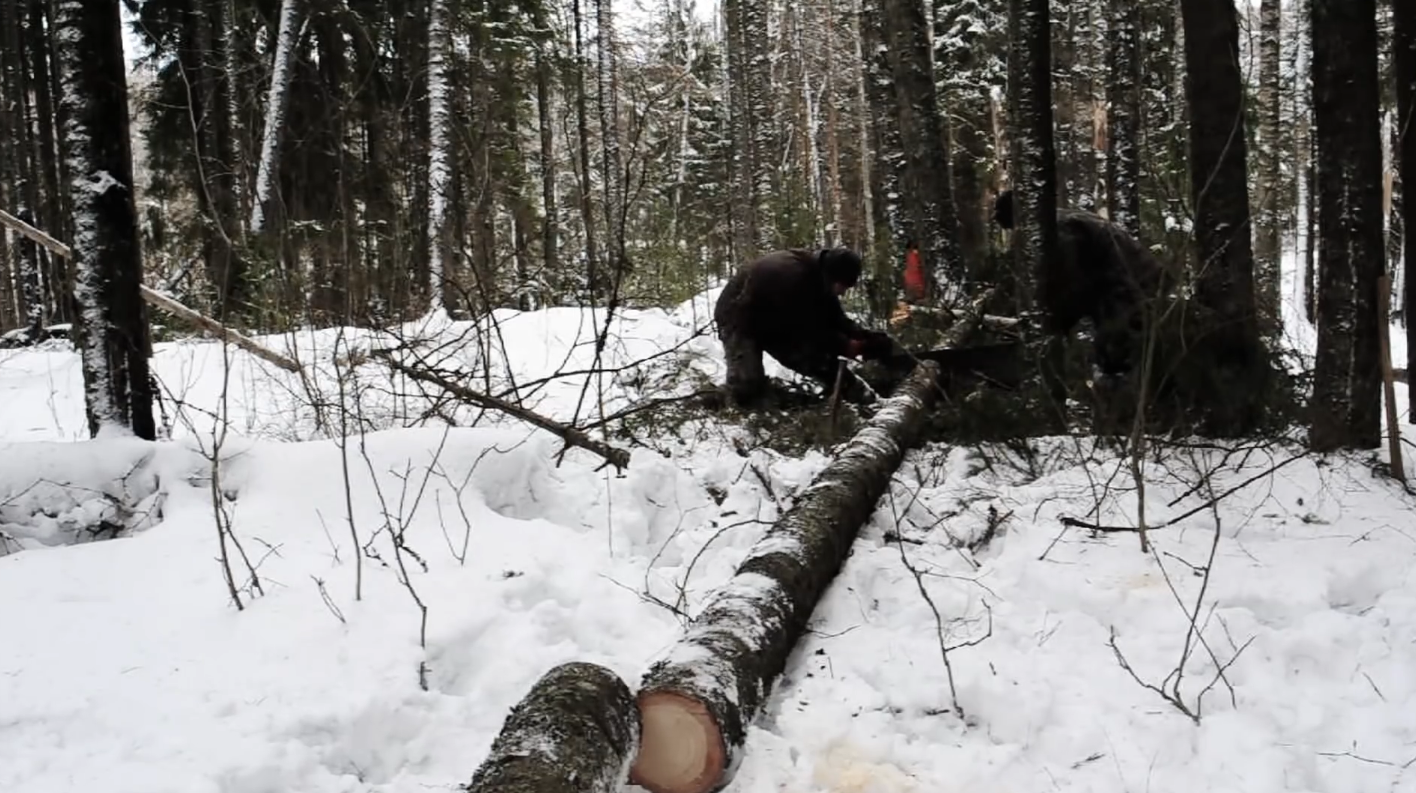 木房子建造全程，看外国人盖房和咱们哪里不一样？