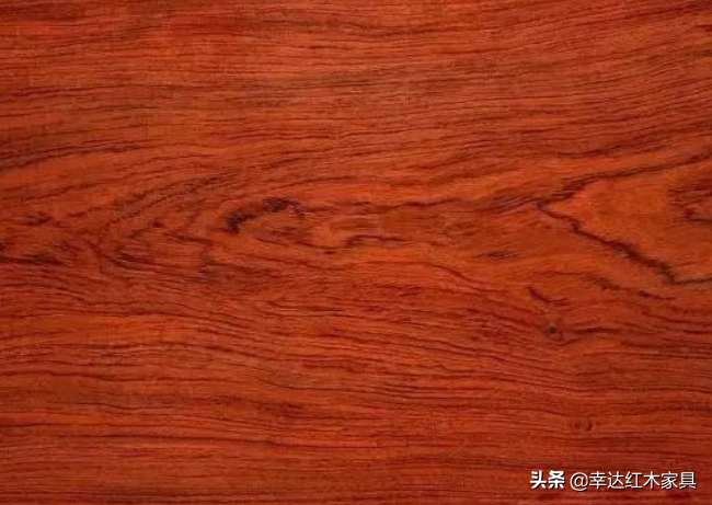 细看奥氏黄檀（缅甸白酸枝）的前世、今生、前景