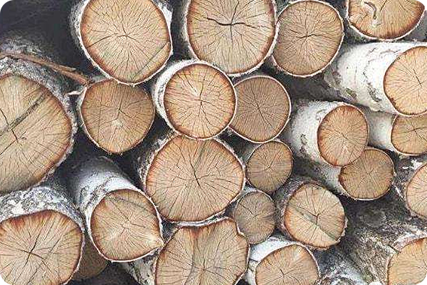 世界上最硬的木头，斧头劈它会迸火渣，比铁还硬