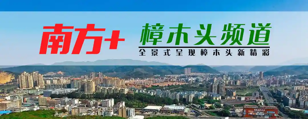 火焰木盛开繁花似火！樟木头投入千万建设“彩色林”