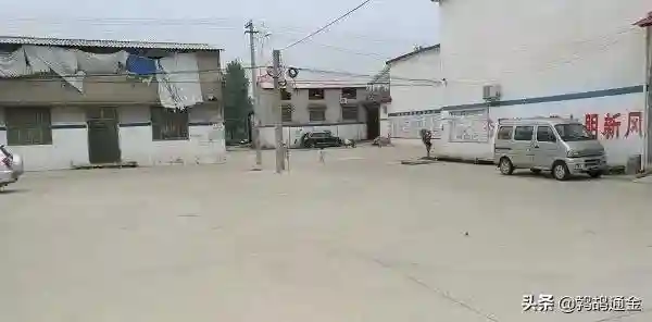 农村总有人收旧房梁，一根100多，老农：破木头有啥用？答案来了