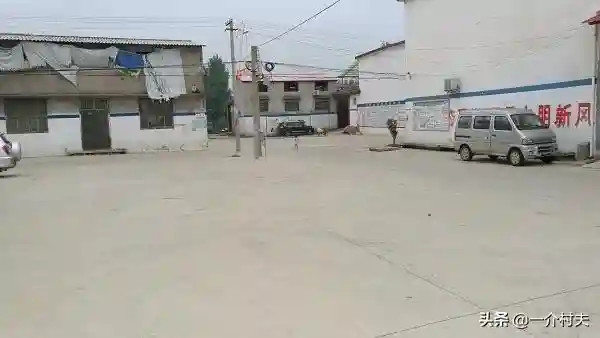 农村总有人收旧房梁，一根100多，老农：破木头有啥用？答案来了