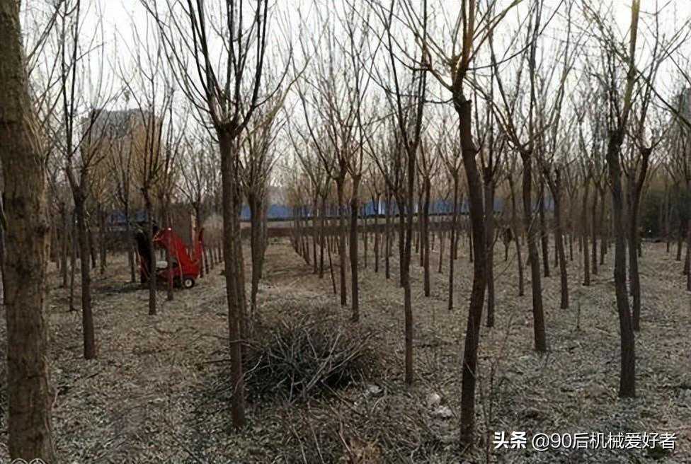 果木树枝怎么加工成果木烧烤炭呢？果木炭利润怎么样？