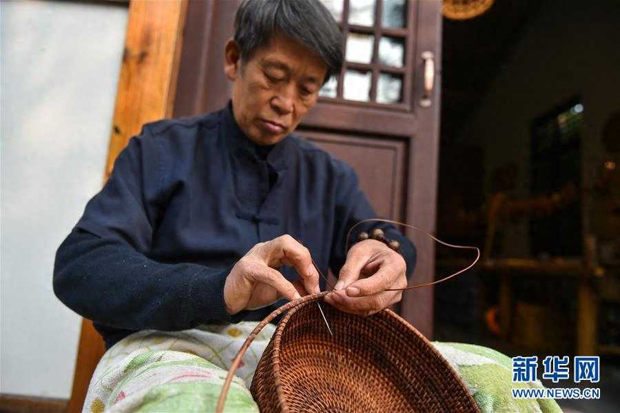 向阳花木易为春——绿色发展之“木”的故事