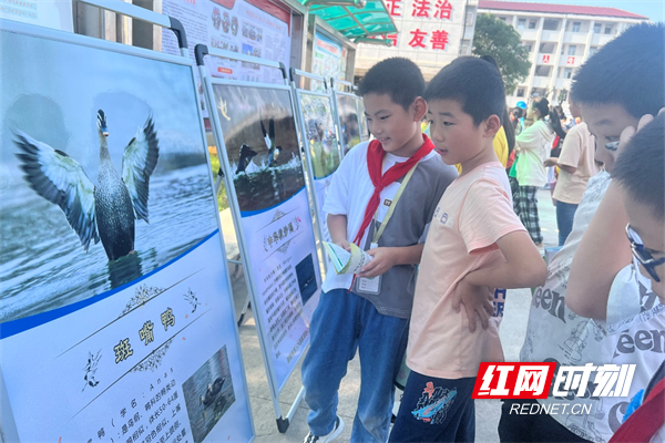 桃源木塘垸镇：守护一江碧水 共筑水清木塘