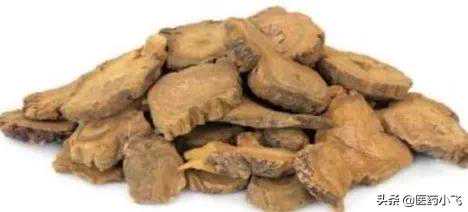 每日医药——木香