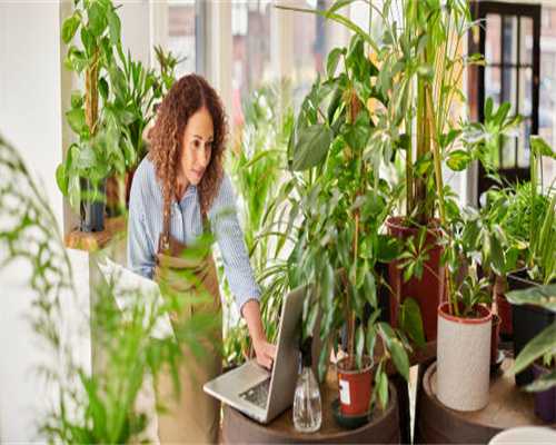 创新为本 理念致胜--南浔木业转型升级的启示