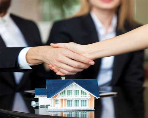 新华全媒+|创新 开放 绿色——第一届世界林木业大会观察